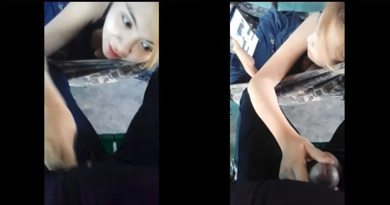 Ghệ sữa chua nghịch